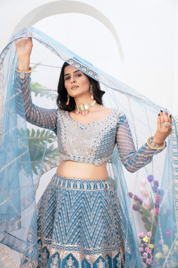 New Net Embroidey Sequence Design Work With Cancan And Canvas Lehenga Choli