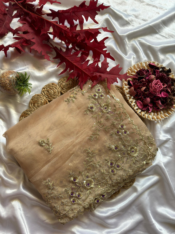Beige Color Tissue Organza Multy Thread Work Saree