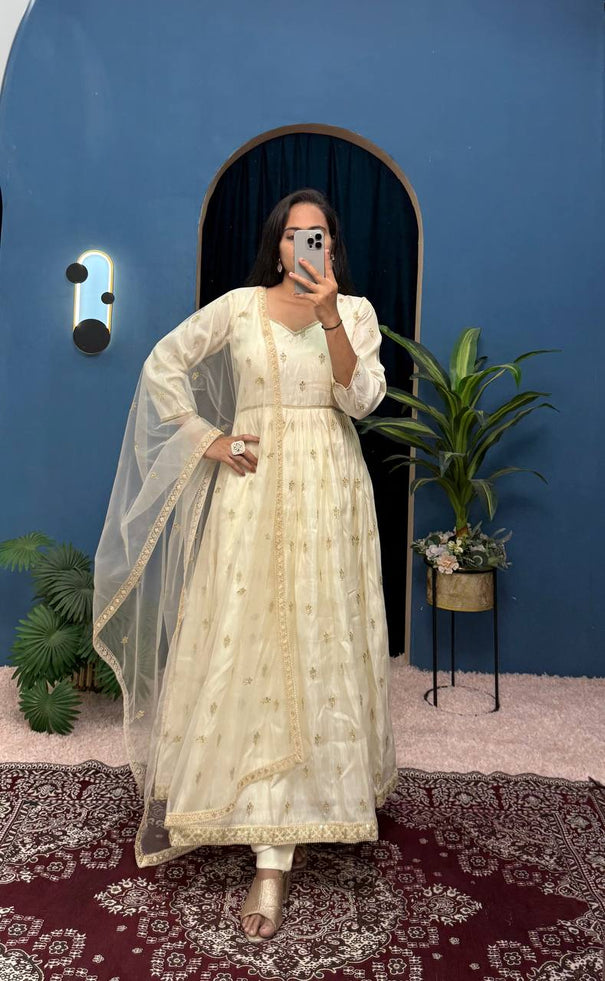 Chimmer Embroidery With Fancy Lace Work Gown