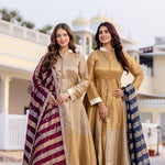 Pure Banarasi Viscous With Fancy Lace Work Gown