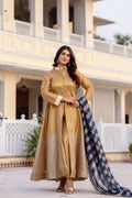 Pure Banarasi Viscous With Fancy Lace Work Gown