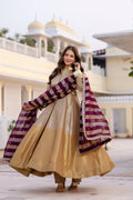 Pure Banarasi Viscous With Fancy Lace Work Gown