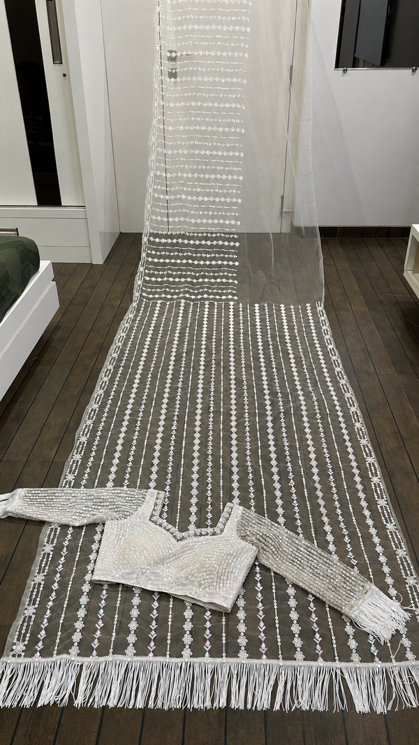Mono Net Sequins Embroidered Saree Set