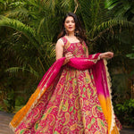 Jimmy Organza Silk With Digital Print Work Gown