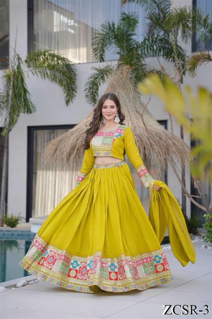 Coding Embroidery Siqunce Work with zip In Choli