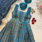 Blue Color Pure Jimmy Organza Silk With Digital Print Gown