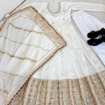 Chinon Silk Embroidered Gown with Sequin Work & Dupatta