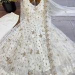 White Color Fendy Silk With Embroidery Work Gown