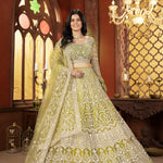Net Embroidery Sequence Design Work With Cancan And Canvas Lehenga