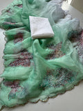 Premium Organza Tissue With Butterfly Work Saree