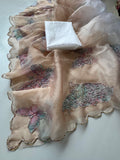 Premium Organza Tissue With Butterfly Work Saree
