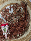 Fendy Chiffon With Embroidery Sequins Work Saree