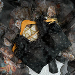 Black Color With Soft Organza With Digital Print Work Saree