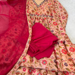 Pich Color Chinon Soft With Printed And Multi Color Hand Work Gown