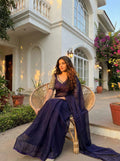 Beautidull Soft Elegent Rich Look Plain Work Saree