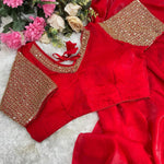 Beautidull Soft Elegent Rich Look Plain Work Saree