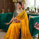 Designer Space Silk Saree With Multi-Sequence Border & Heavy Aari Work saree