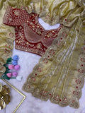 Soft Space Silk Saree with Bead Sequin & Zari Embroidery Work