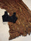 Two Tone Fandy Satin Leopard Print Saree Set