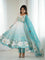 Sky Blue Color Organza Silk With Flower Work Gown