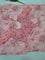 Premium Tabby Silk Mirror Work Saree