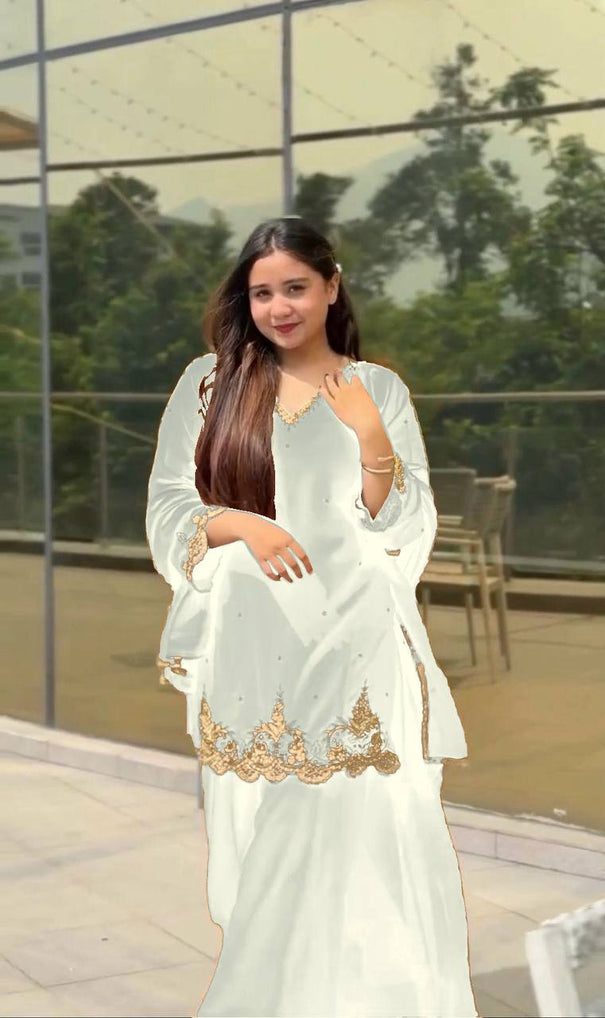 Havy Faux Georgette Embroidery Work Top Pent