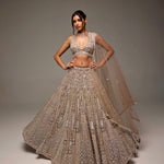 Net And Sequence Work With Dori And Thred Work All Over Front And Back WOrk Lehenga