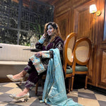Wine Velvet Sequence Embroidery Work Suit