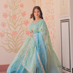 Rich & Fancy Gold Orgenza Zari Work Gown