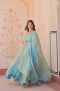 Rich & Fancy Gold Orgenza Zari Work Gown
