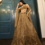 Beautifull Premium Butterfly Net WIth Embellished Embroidery Work Lehega