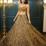 Beautifull Premium Butterfly Net WIth Embellished Embroidery Work Lehega